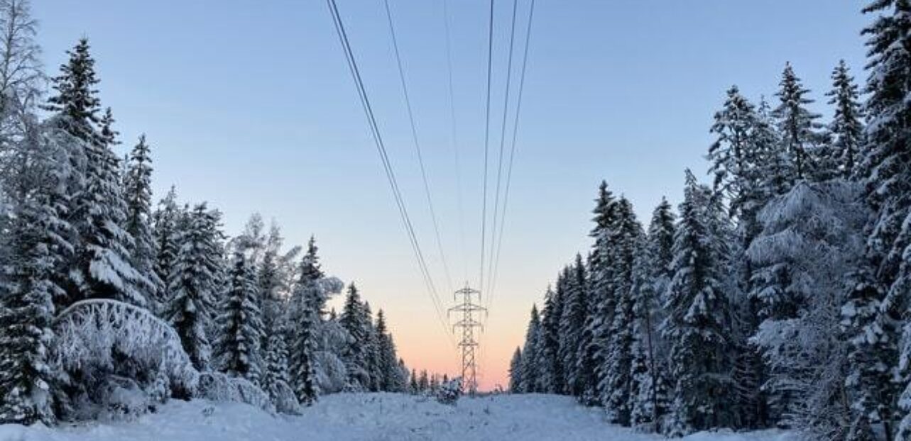 Skog allé med full dekket av snø. Lengst bort midt mellom allèen ser du soloppgang og strømnett linjer.