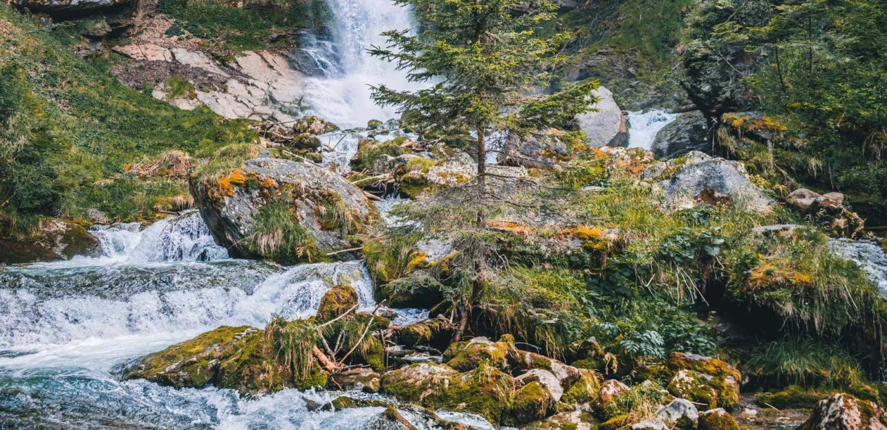 Fossefall i en grønn og frodig skog.